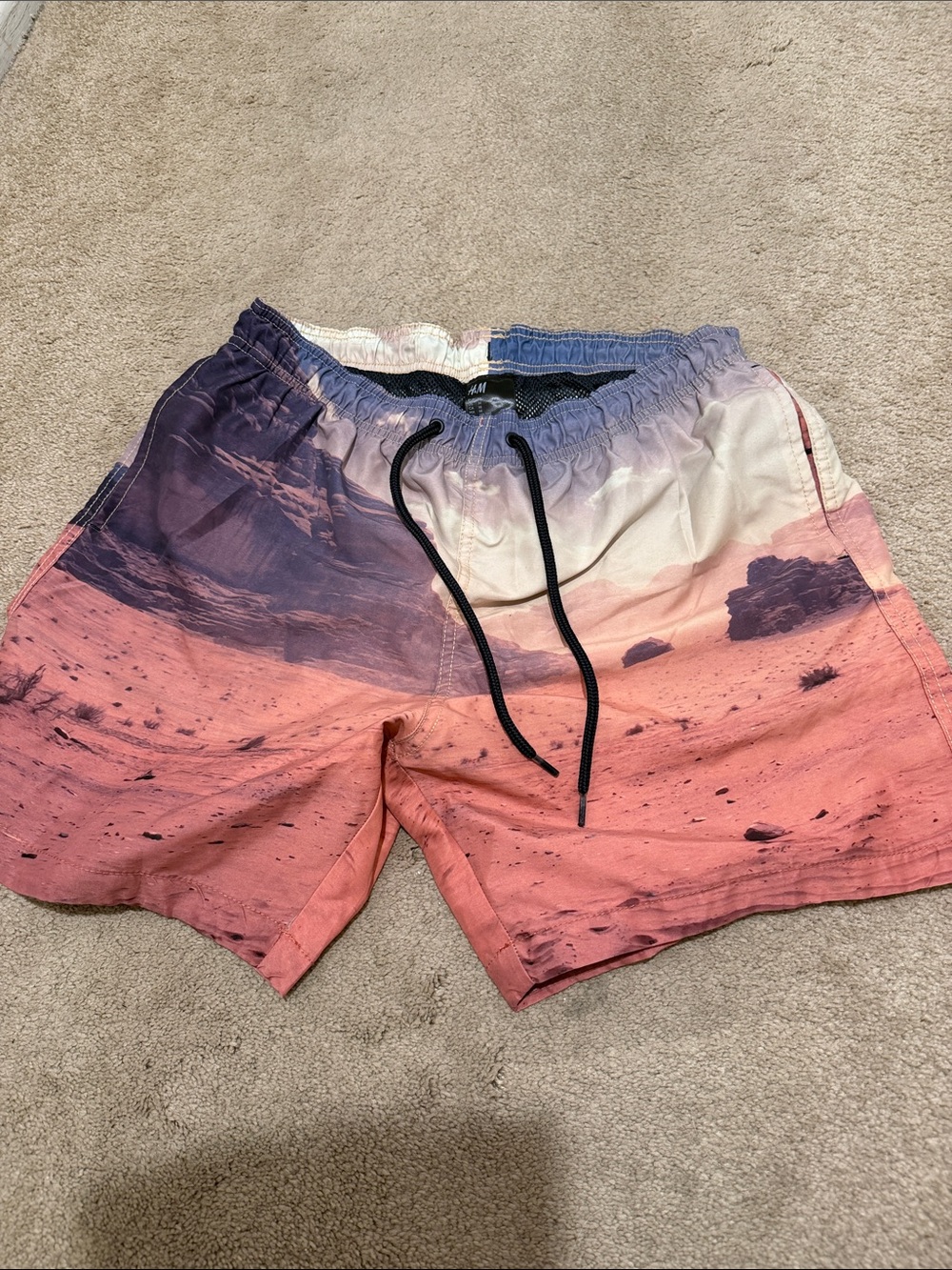 H&M Coral and Purple Desert-Print Swim Trunks